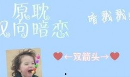 上位by萝卜兔子简介,by萝卜兔子，揭秘职场晋升之路